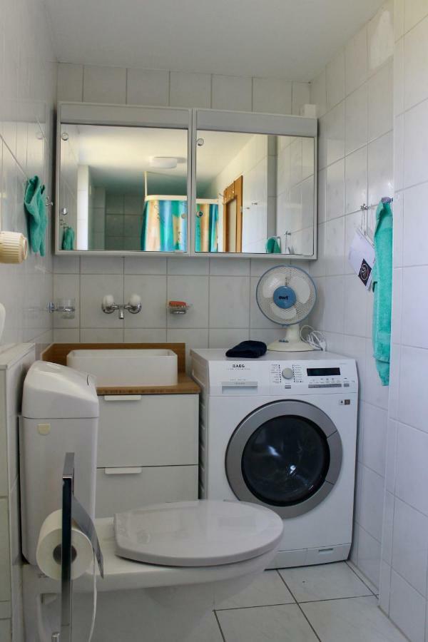Casa Ortensia Apartment Gambarogno Bagian luar foto