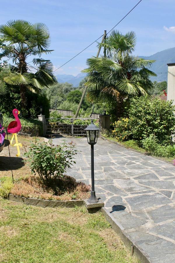 Casa Ortensia Apartment Gambarogno Bagian luar foto