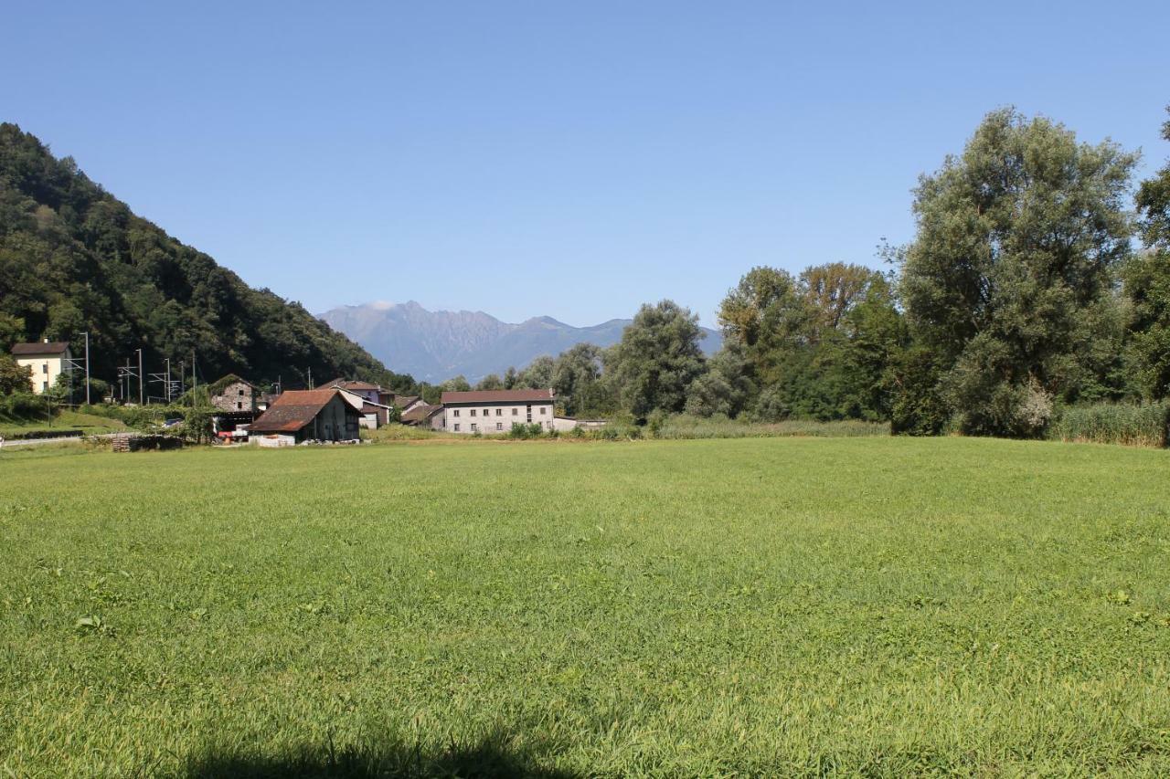 Casa Ortensia Apartment Gambarogno Bagian luar foto