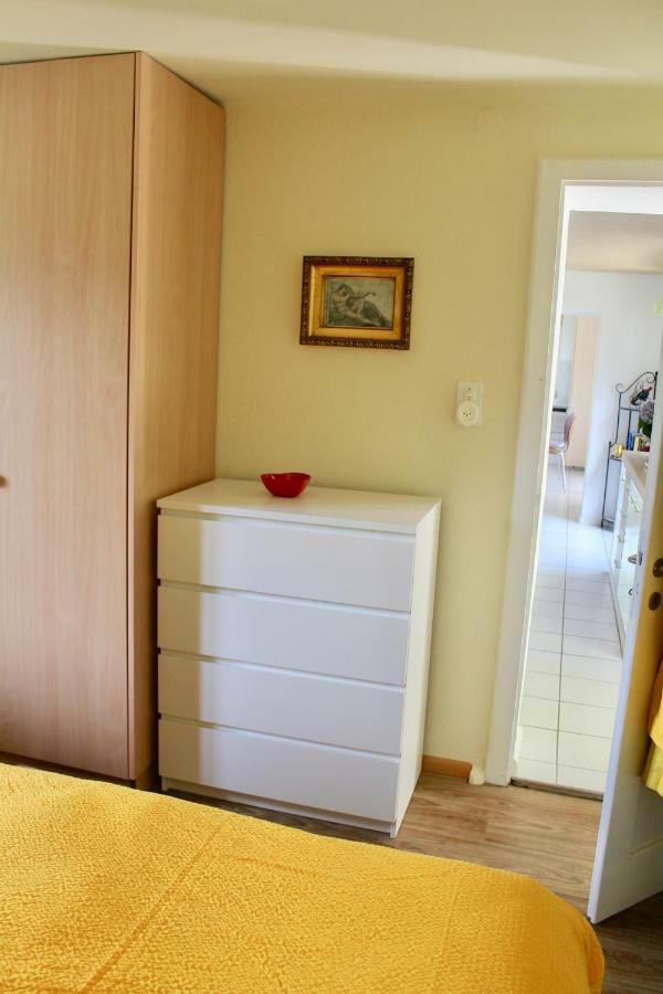 Casa Ortensia Apartment Gambarogno Bagian luar foto