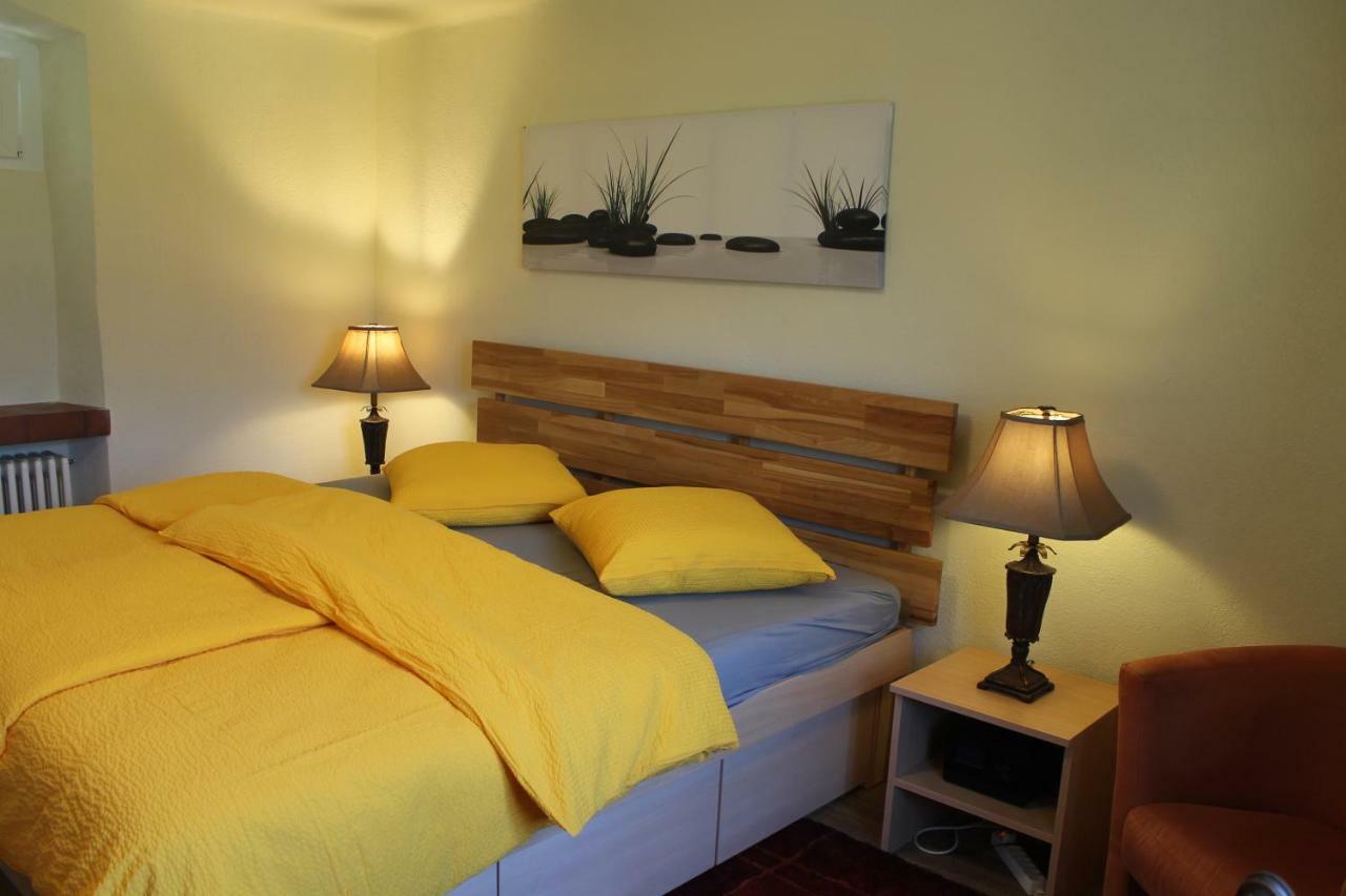 Casa Ortensia Apartment Gambarogno Bagian luar foto