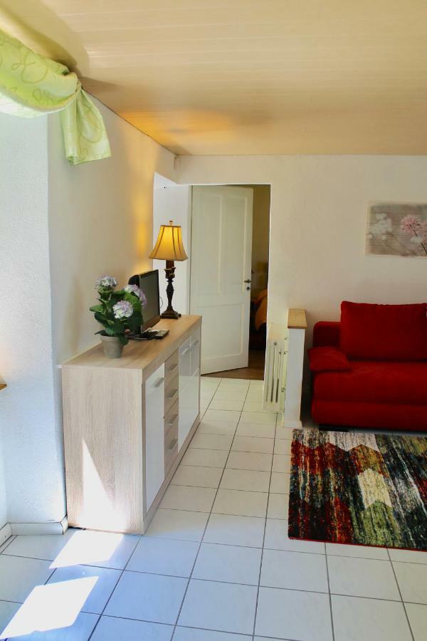 Casa Ortensia Apartment Gambarogno Bagian luar foto